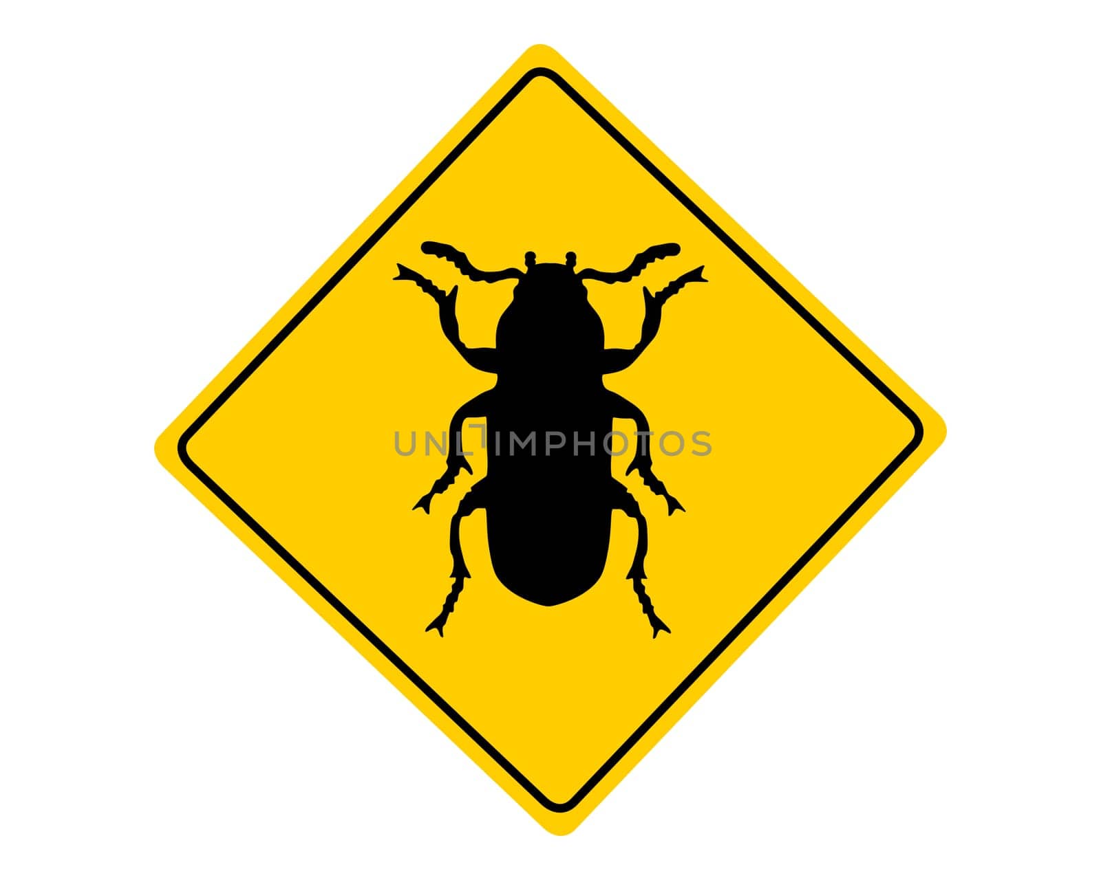 Attention Flour Beetle