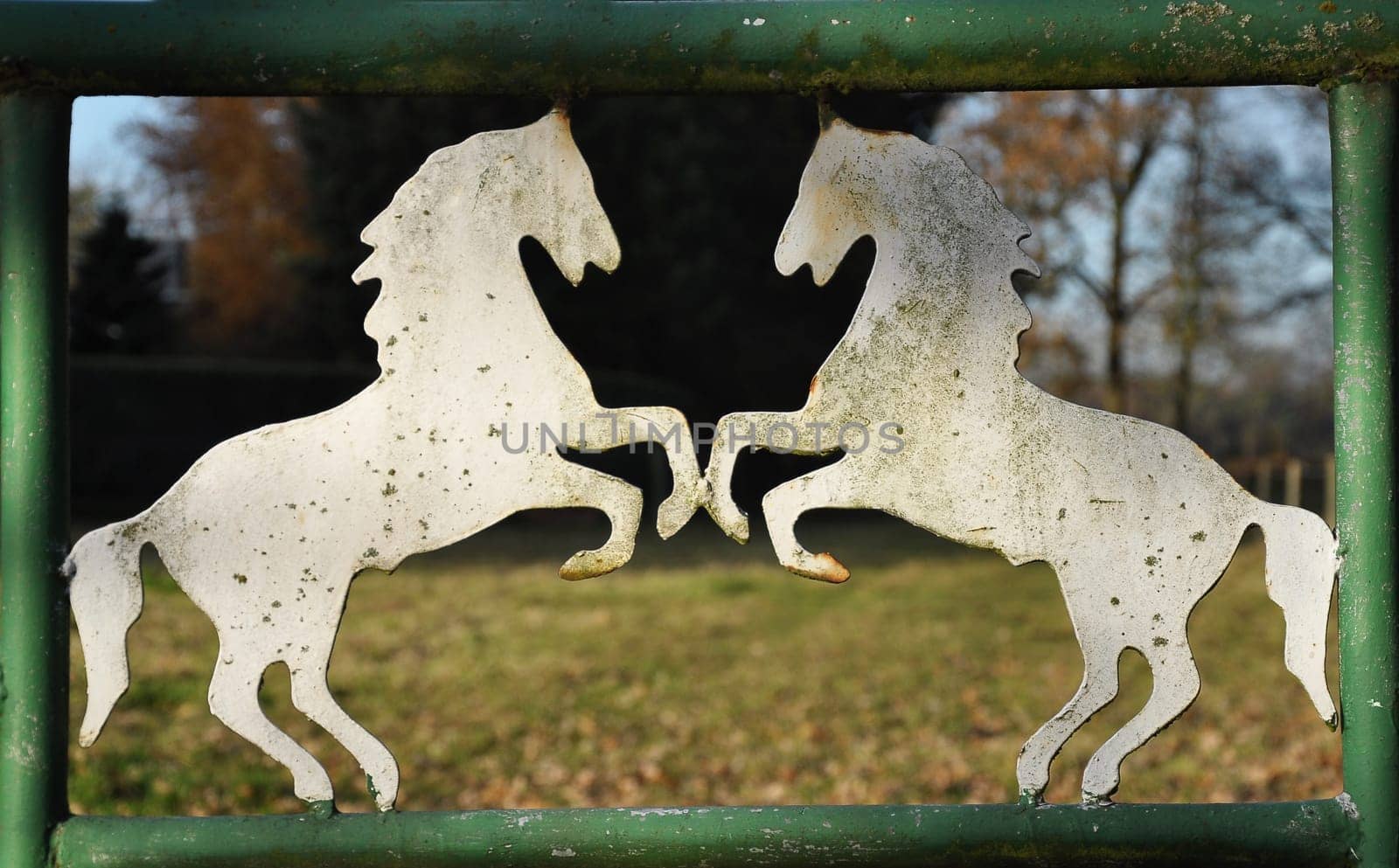Horse motif