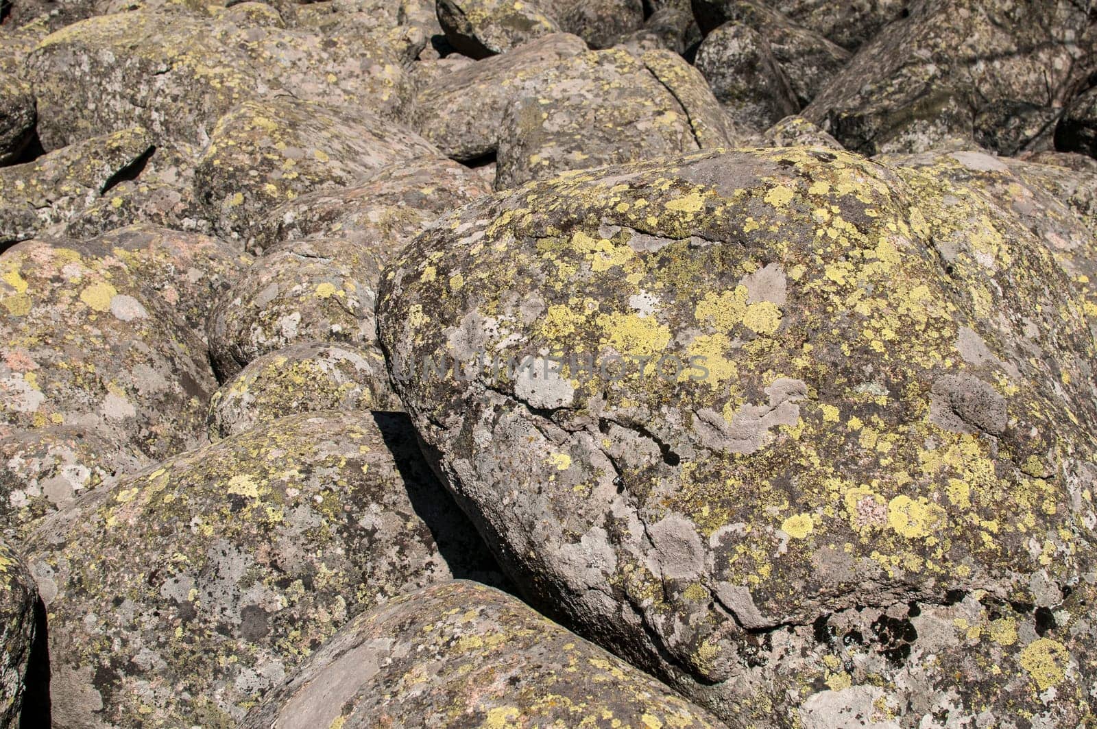Old moraine rocks with moss closeup as background