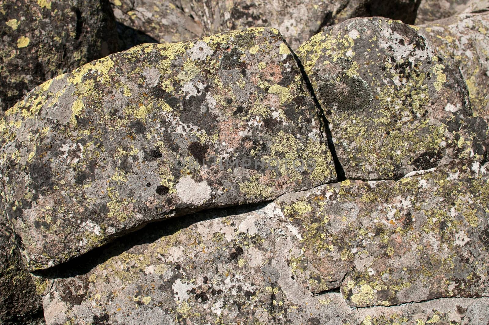 Old moraine rocks with moss closeup as background