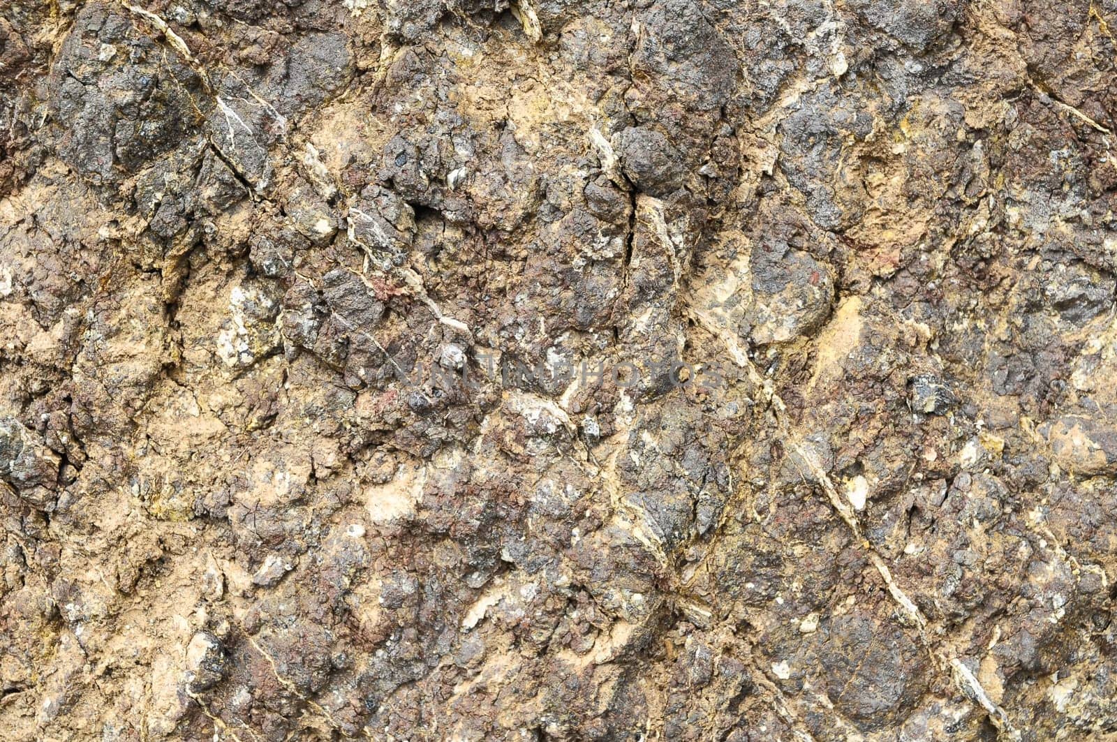 Close Up of a Volcanic Rock in Canary Islands Spain