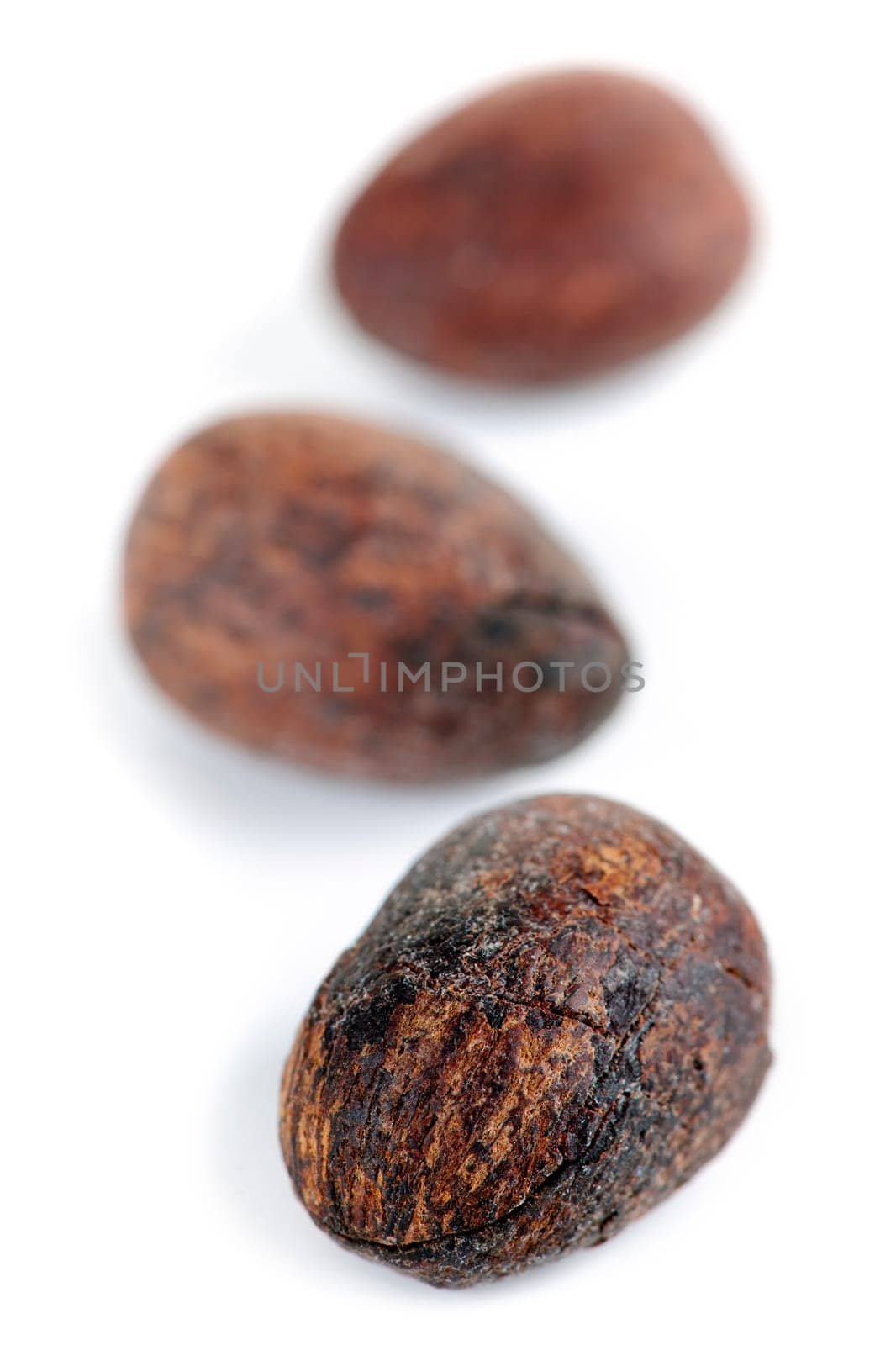 Raw unprocessed shea nuts isolated on white background