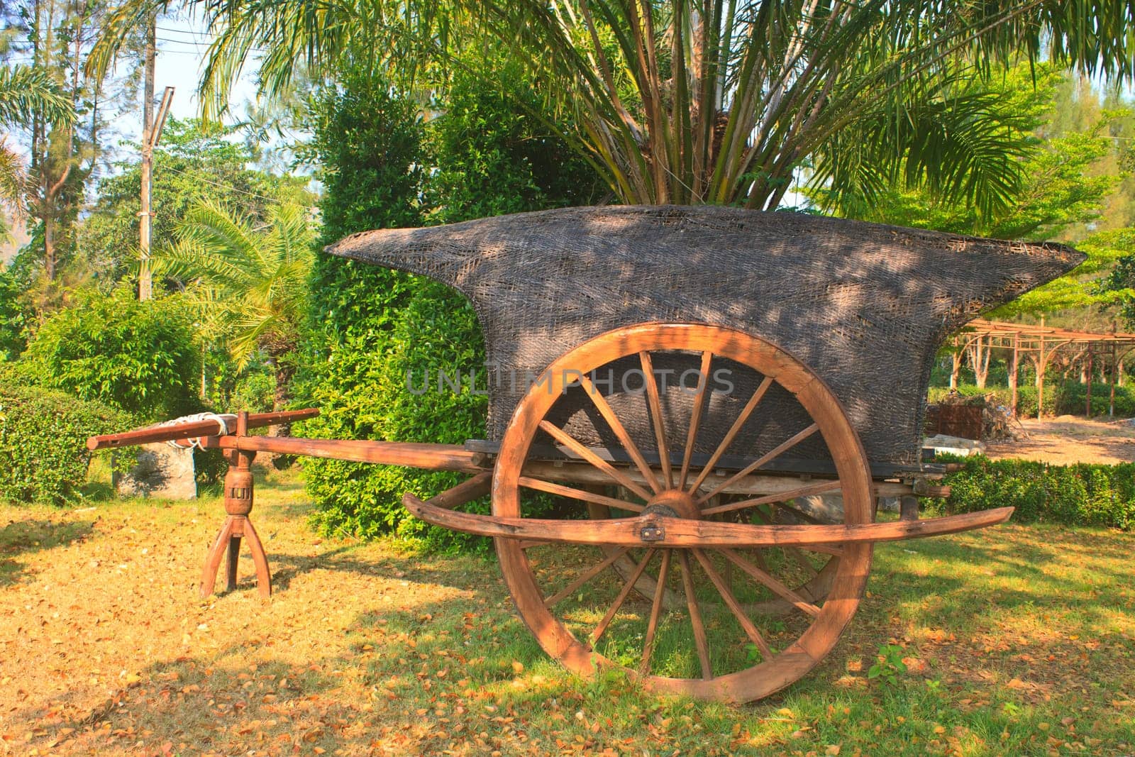 old wooden cart on two wheels in garden