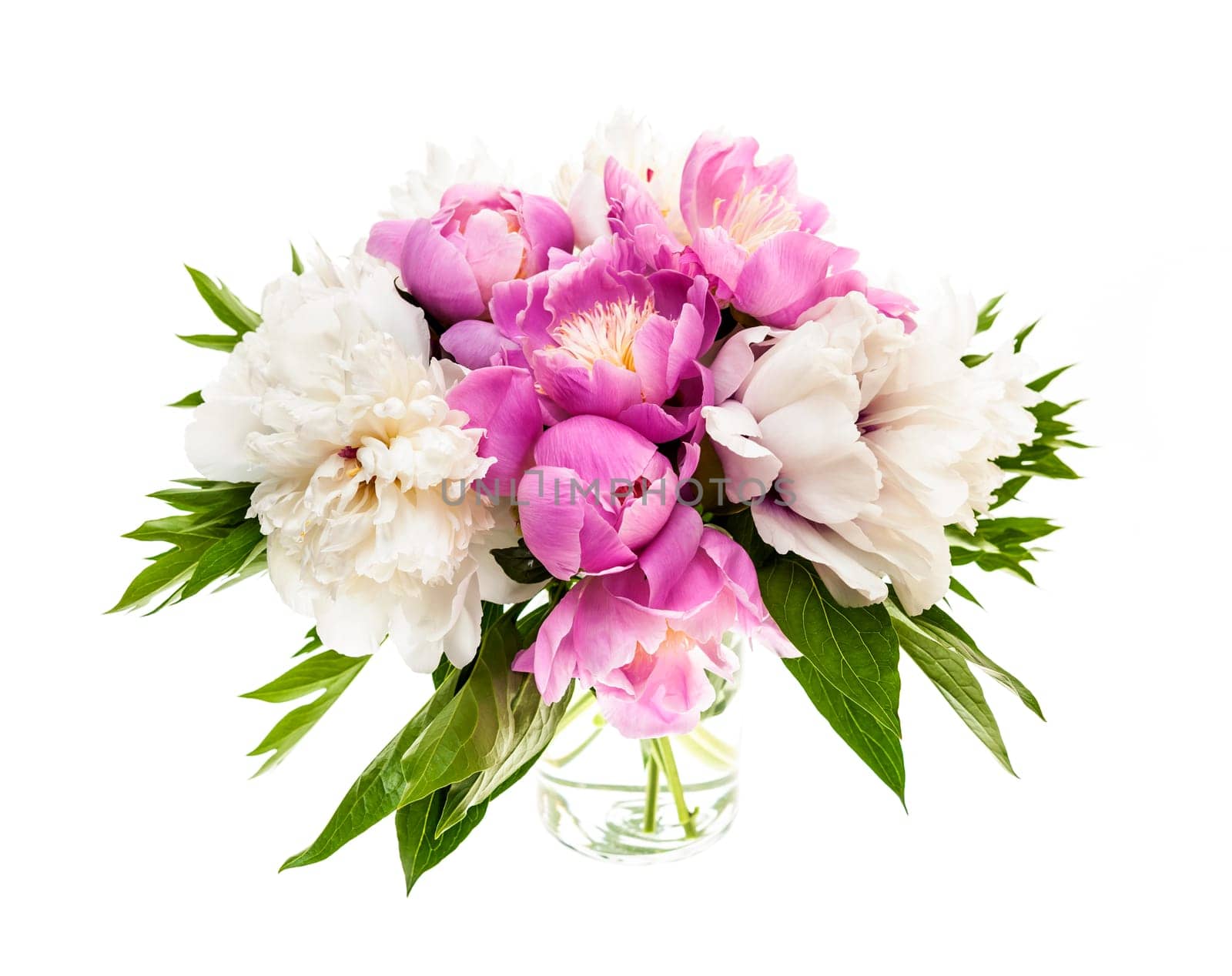 Bouquet of fresh peony flowers isolated on white background