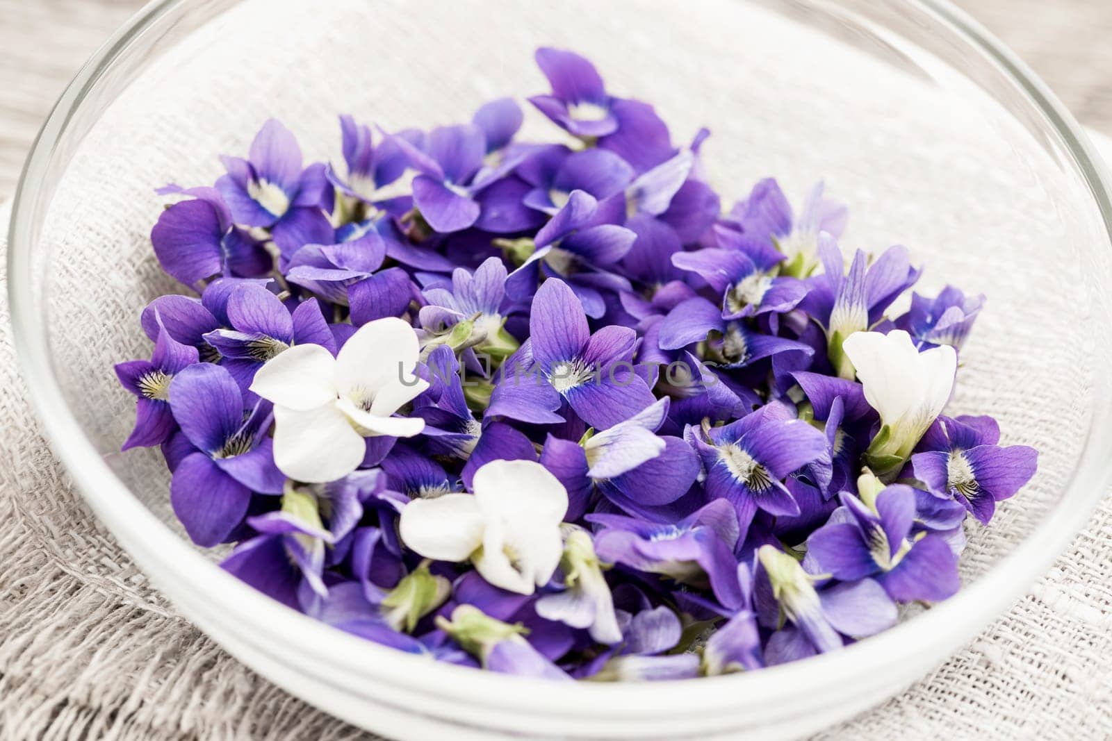 Foraged edible purple and white violet flowers in bowl