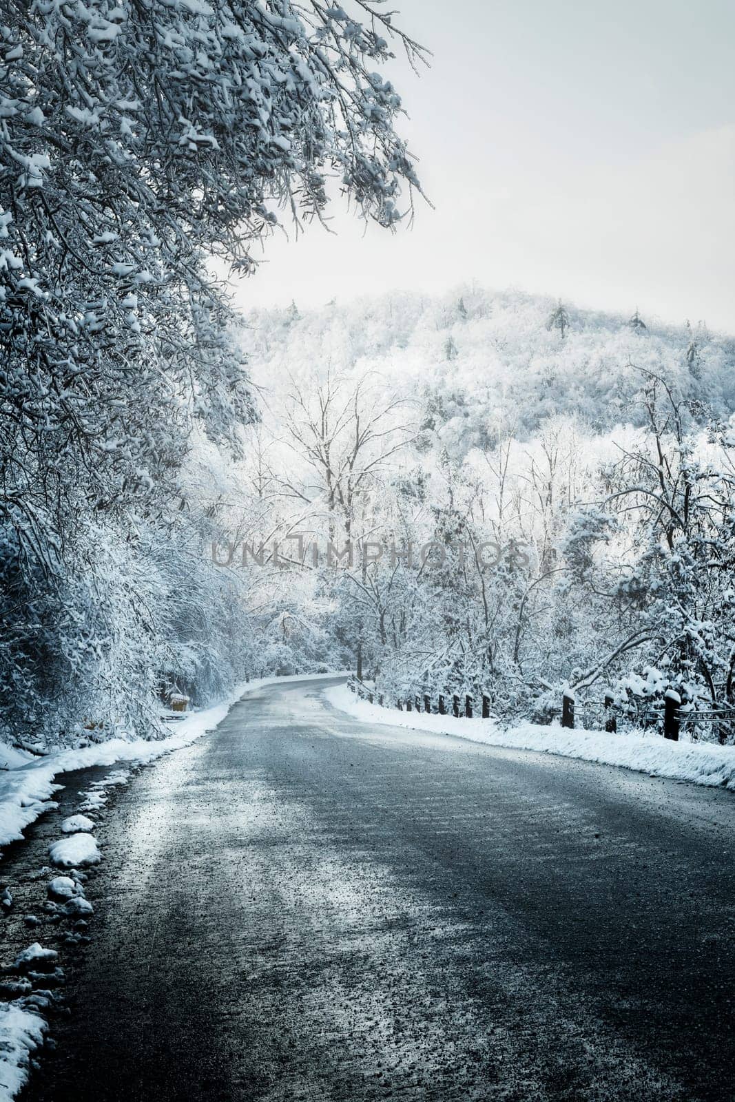 Icy winter road leading downhill through forest