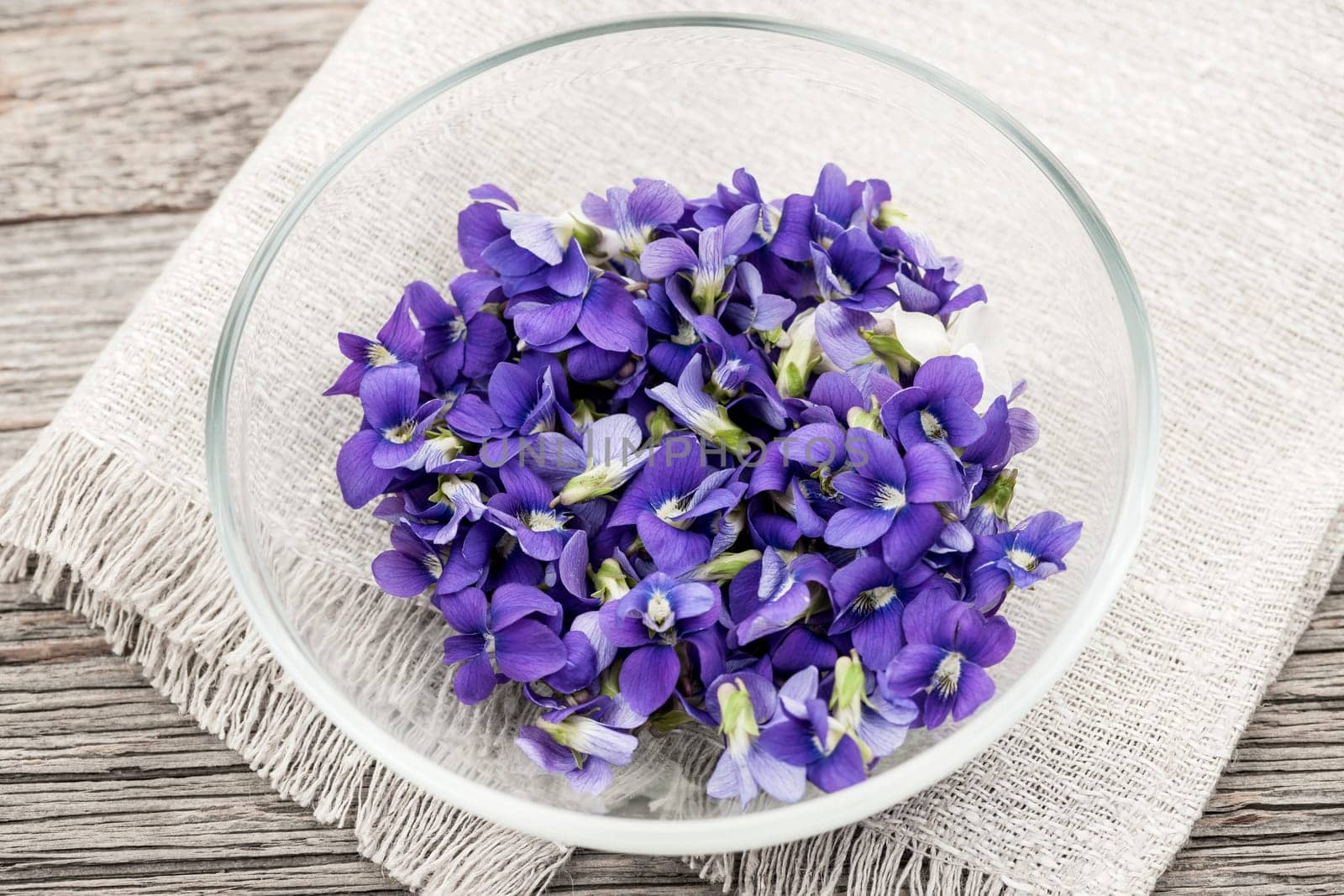 Foraged edible purple and white violet flowers in bowl