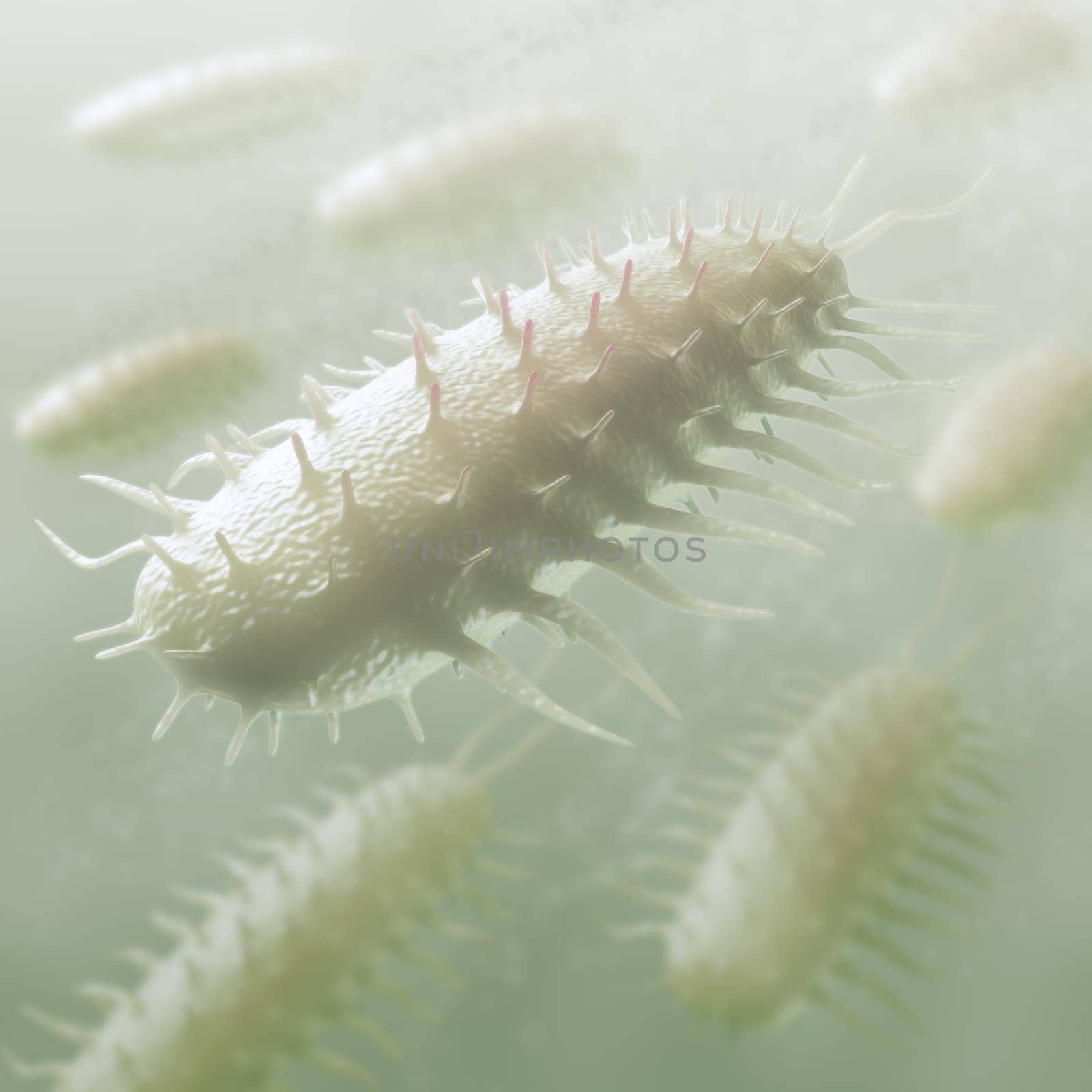 Infectious bacteria closely. Concept of disease transmission and epidemic.