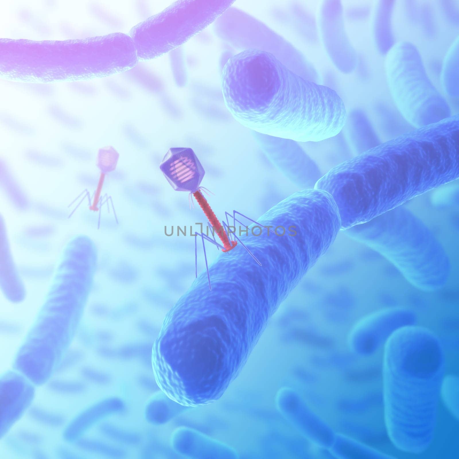 Concept of attack. Bacteriophage are viruses (with genetic material) that infect bacteria.