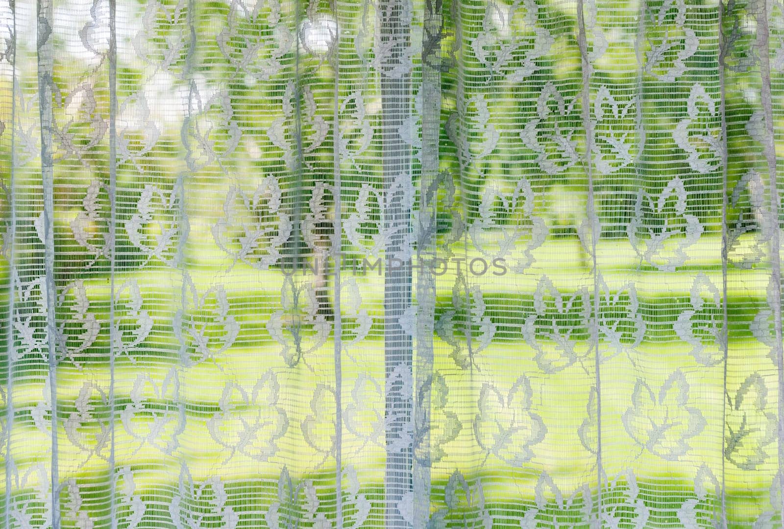 Window with lace curtains looking out to green summer park