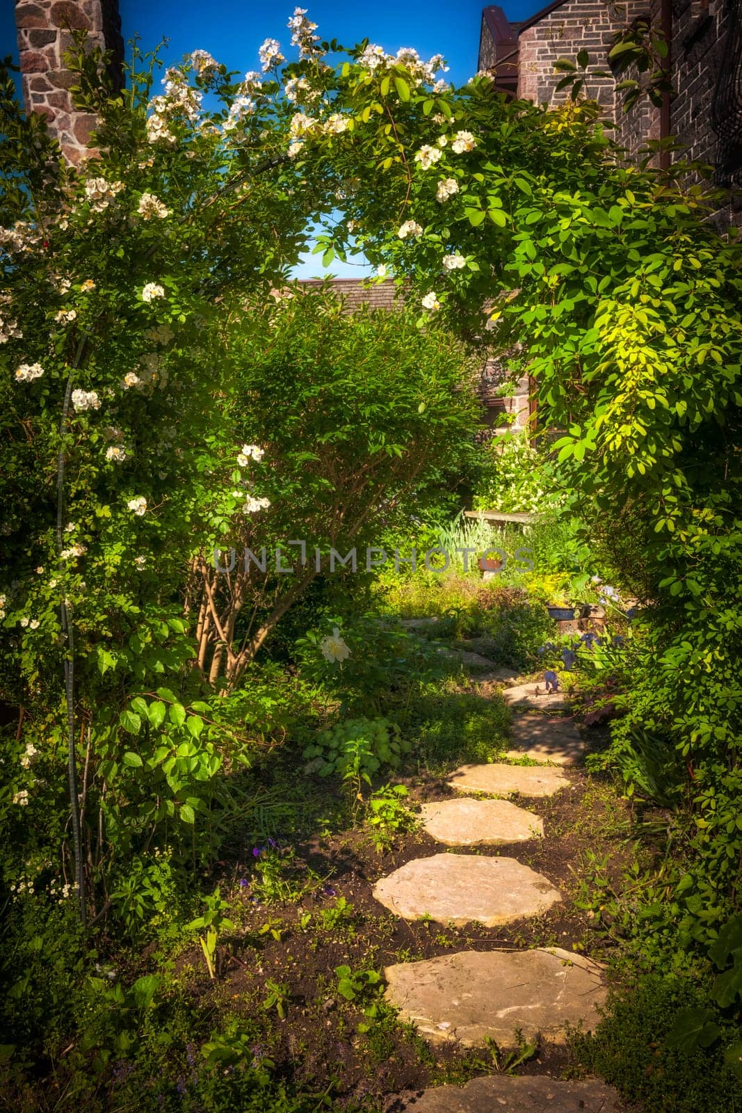 Summer garden with paved path and trellis
