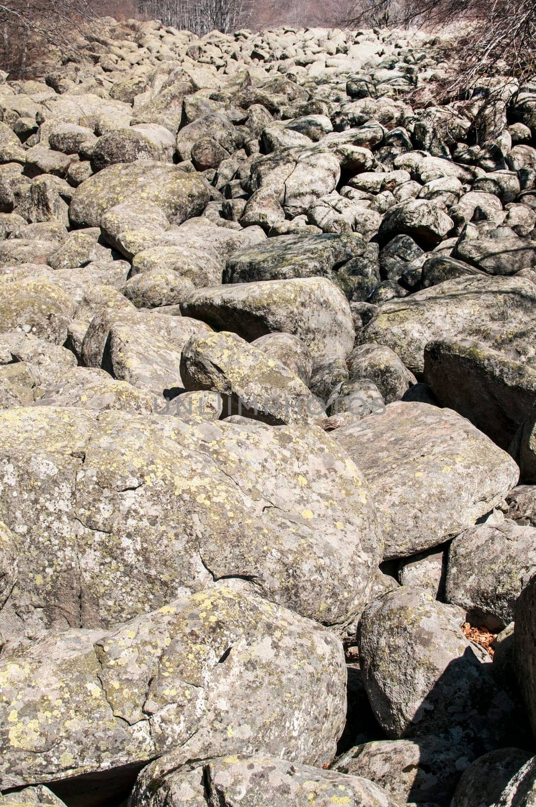 Old moraine rocks with moss in winter sunny day landscape