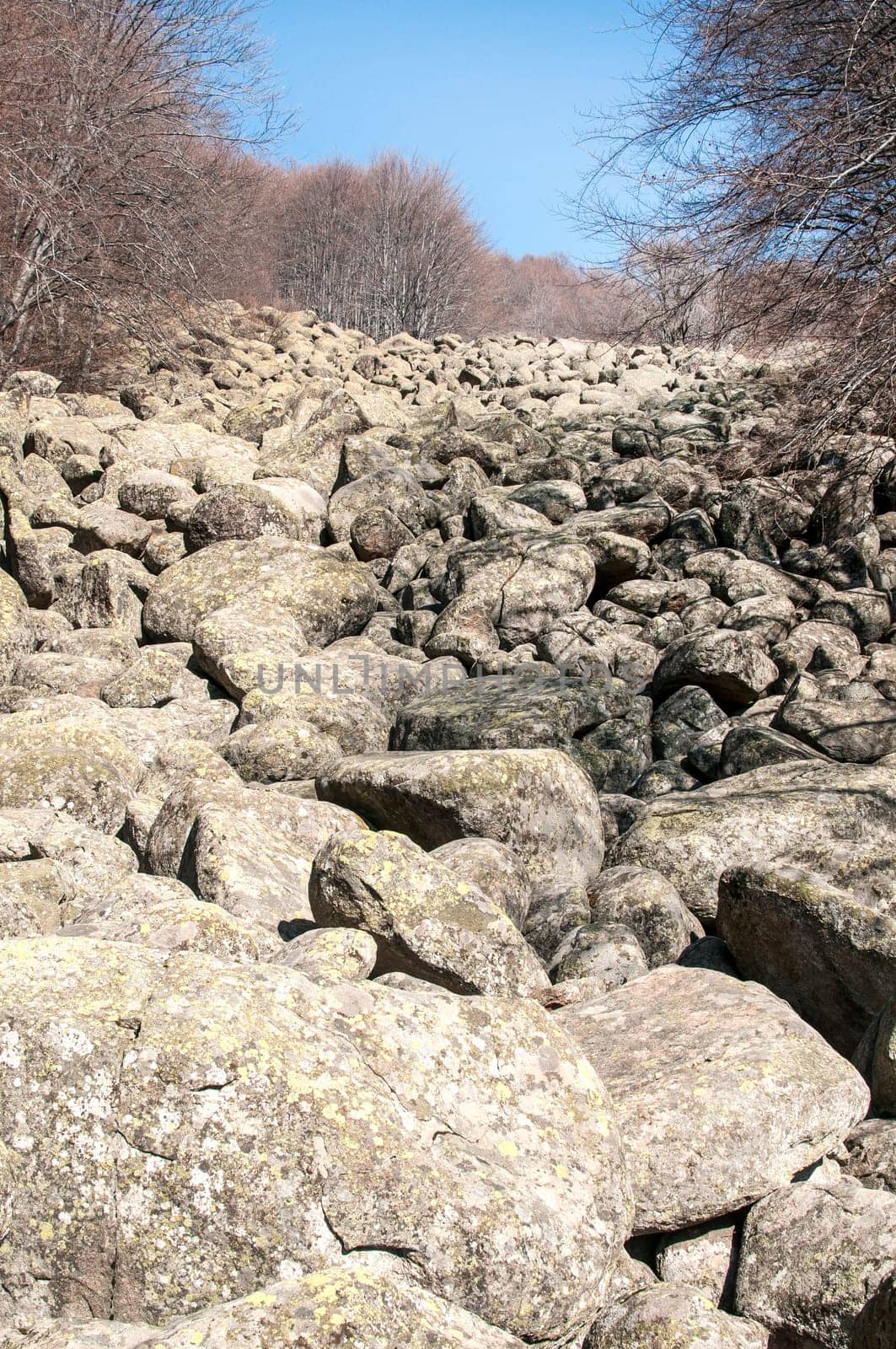 Old moraine rocks with moss in winter sunny day landscape