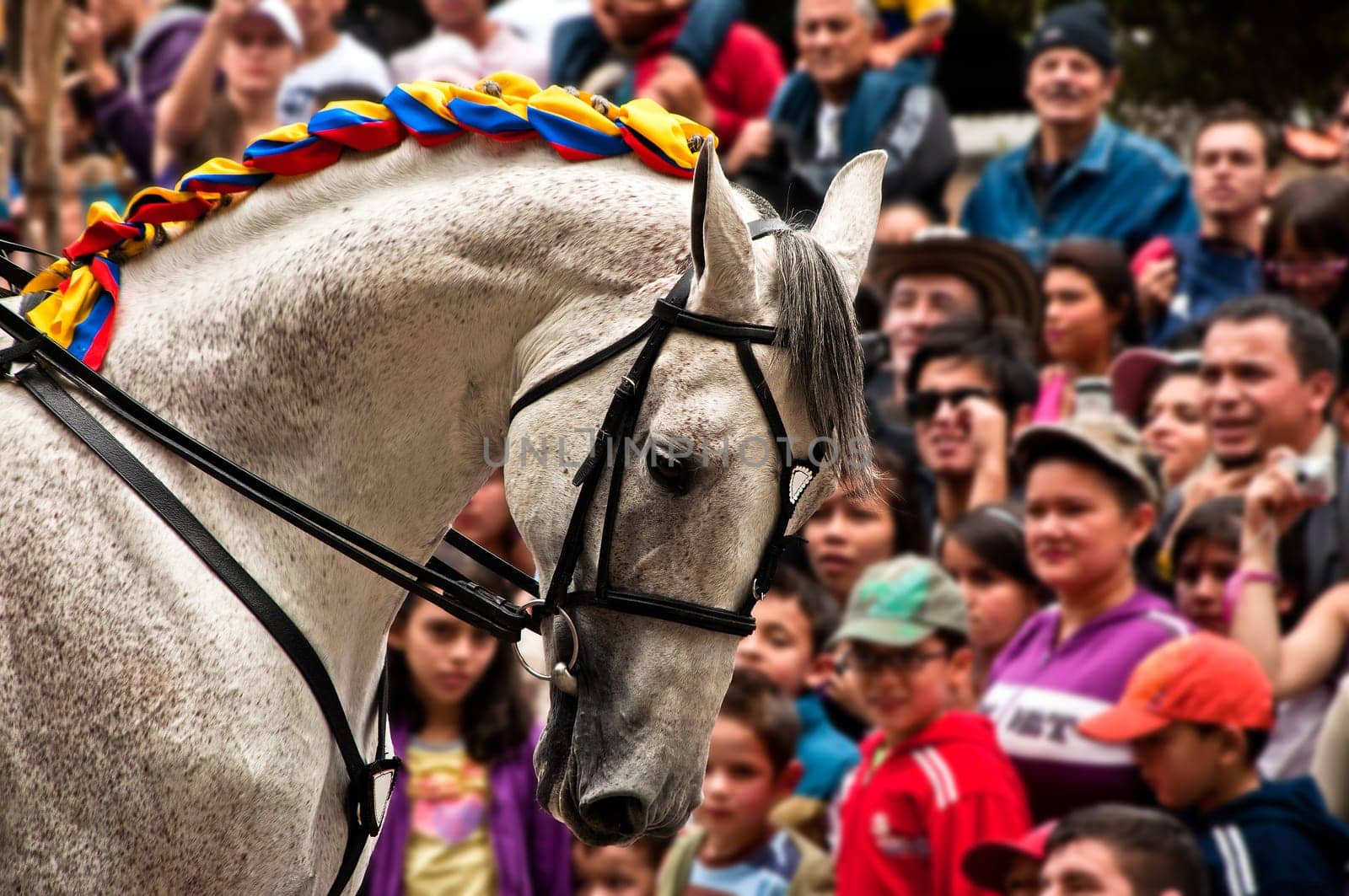BOGOTA, COLOMBIA - JULY 20