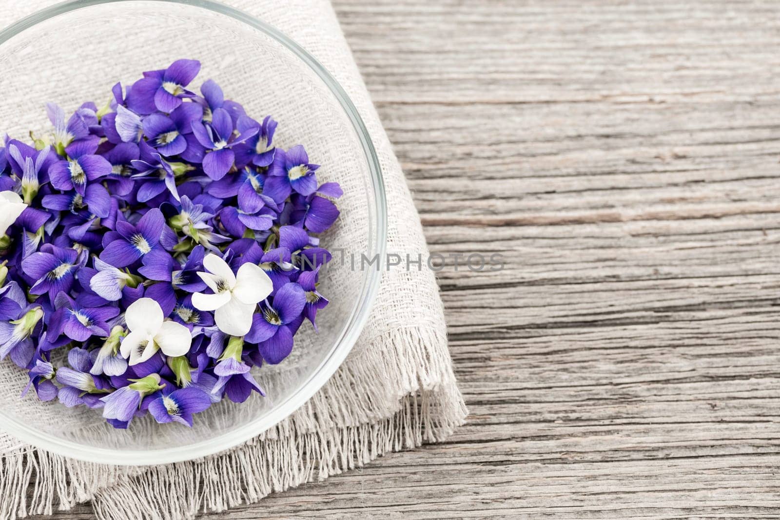 Foraged edible purple and white violet flowers in bowl on wood background with copy space