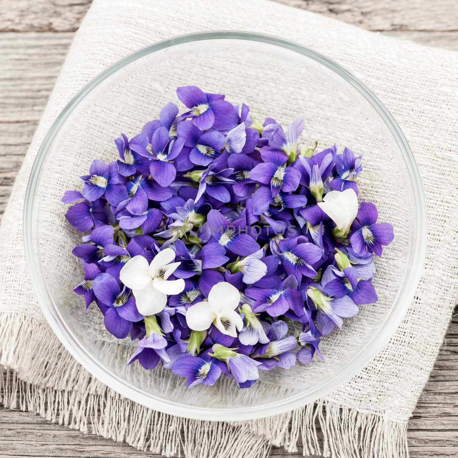 Foraged edible purple and white violet flowers in bowl from above, square format