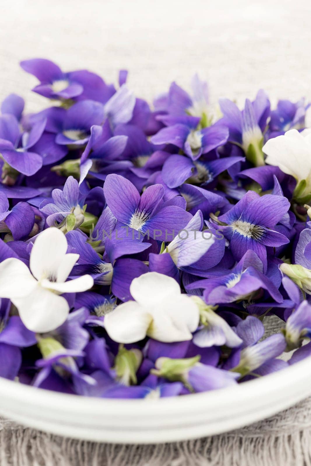 Foraged edible purple and white violet flowers in bowl closeup