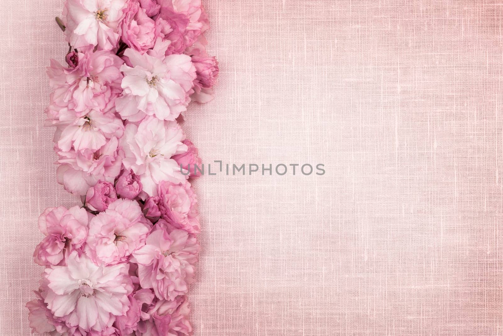 Border of pink cherry blossoms row with linen background