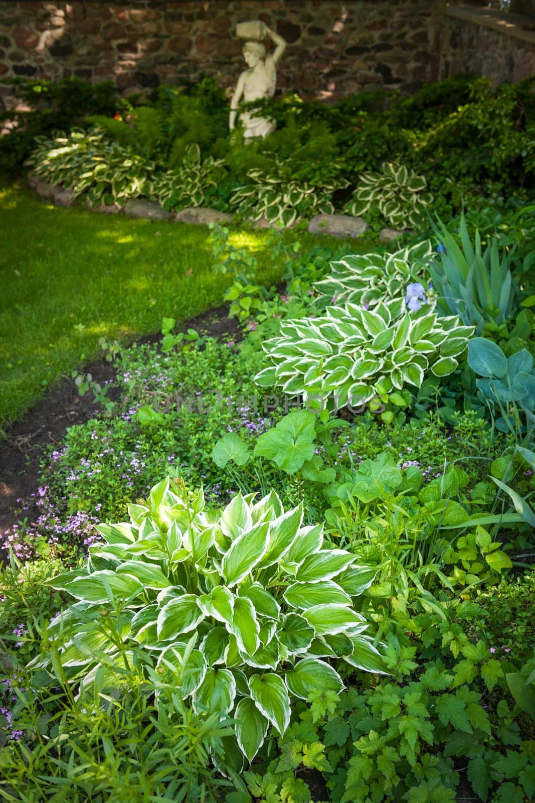 Lush green summer garden with perennial plants and flowers
