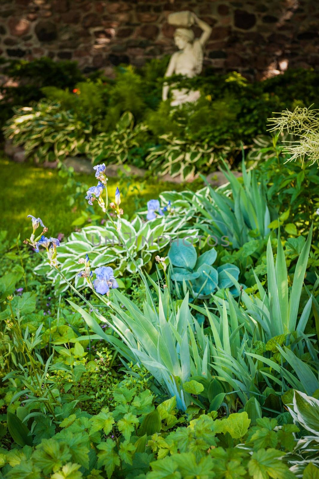 Lush green summer garden with perennial plants and flowers