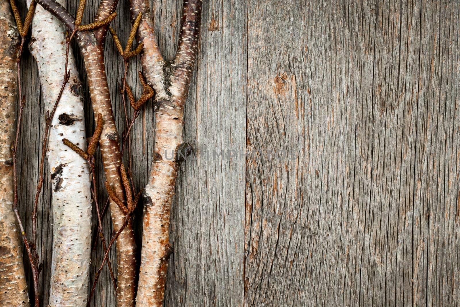 Birch tree trunks and branches on natural wood background with copy space