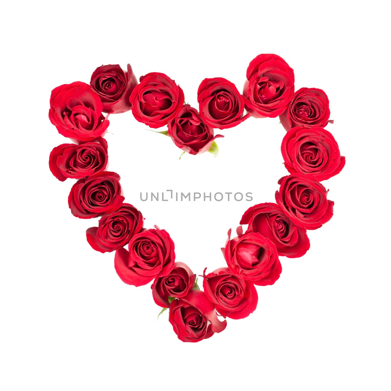 Heart made of fresh red roses on white background