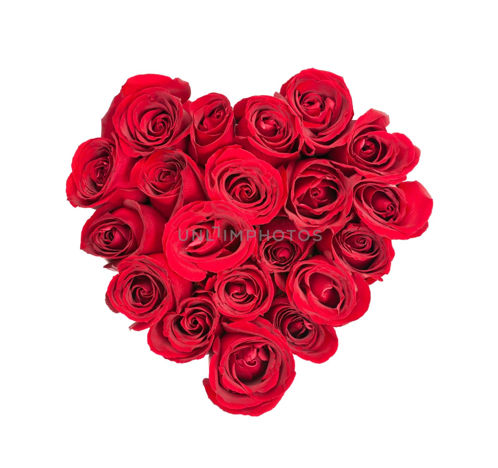 Heart made of fresh red roses on white background
