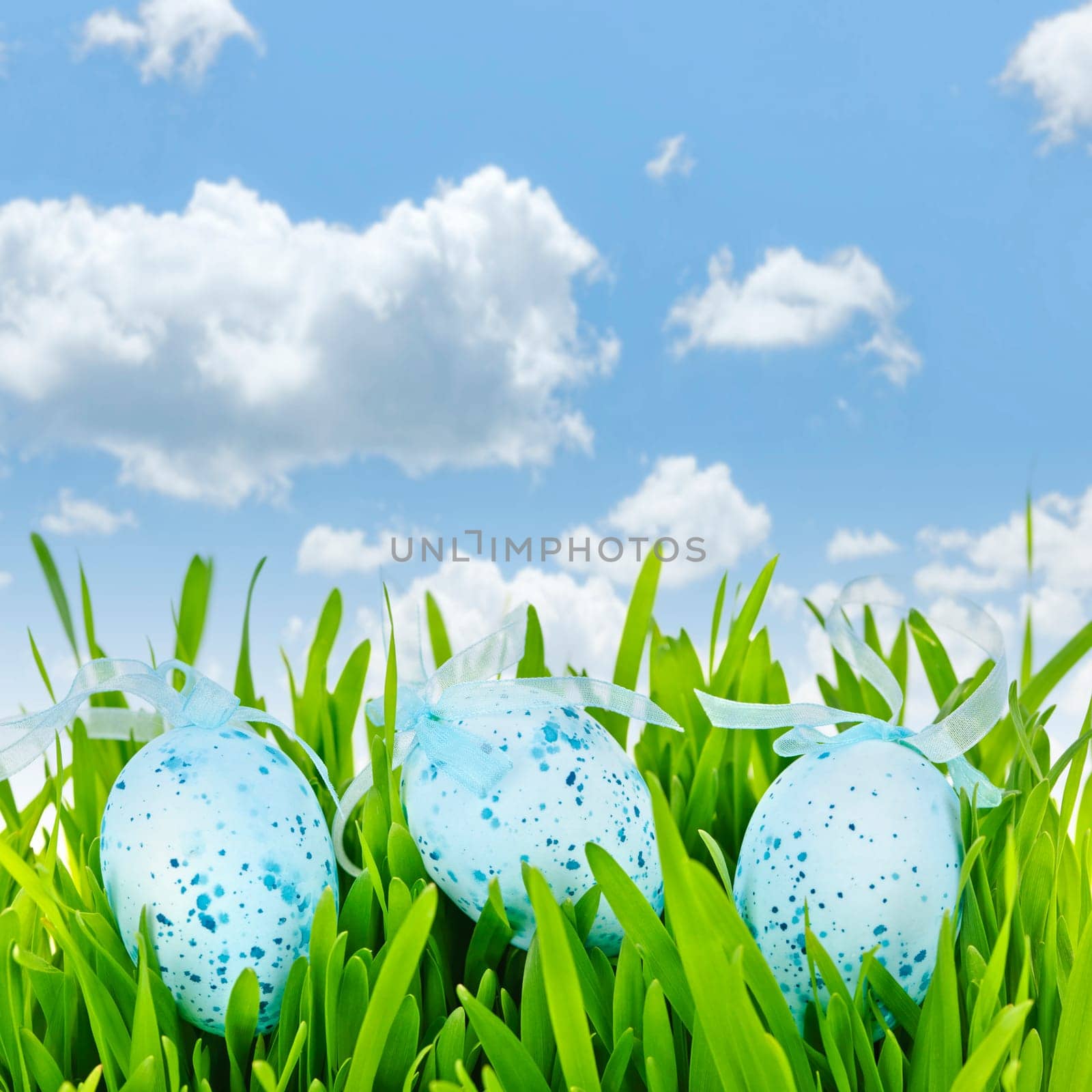 Three blue speckled easter eggs with ribbons in green grass on sky background