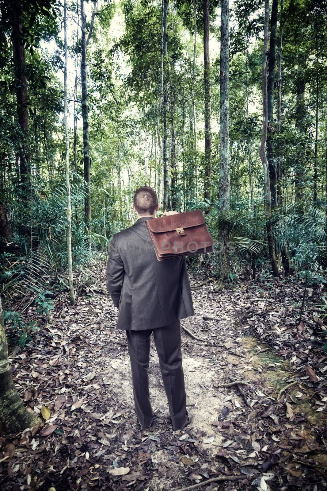 businessman lost in tropical jungle