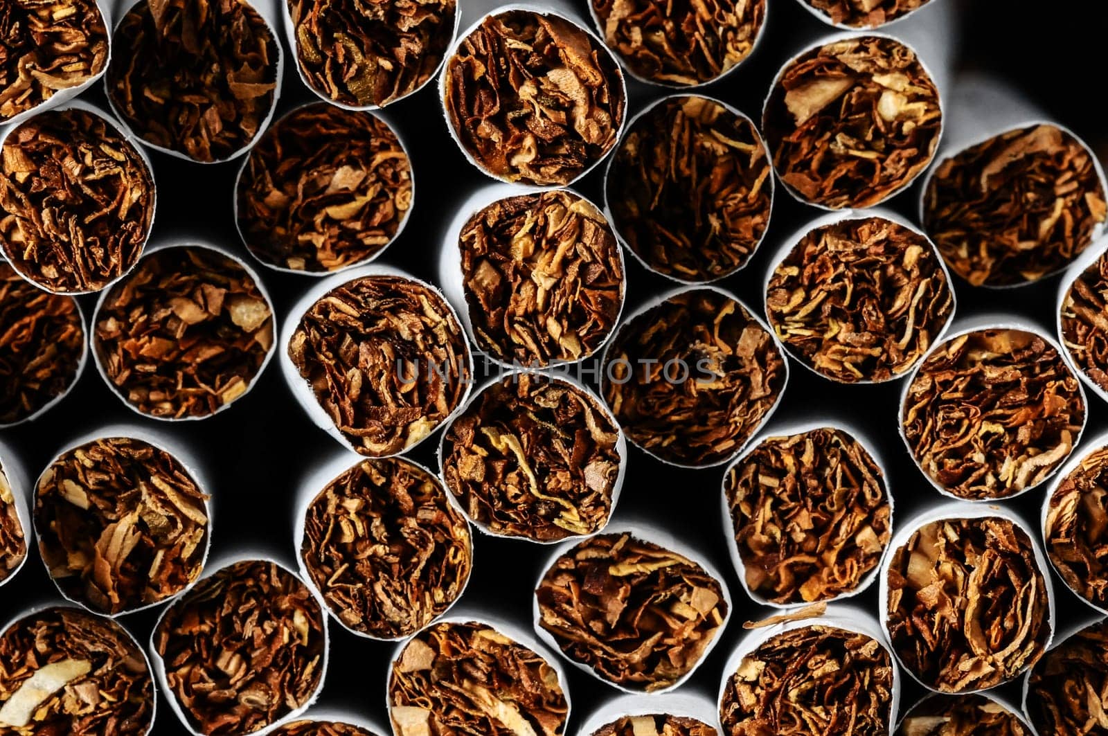 Close-up of Tobacco Cigarettes Background or texture