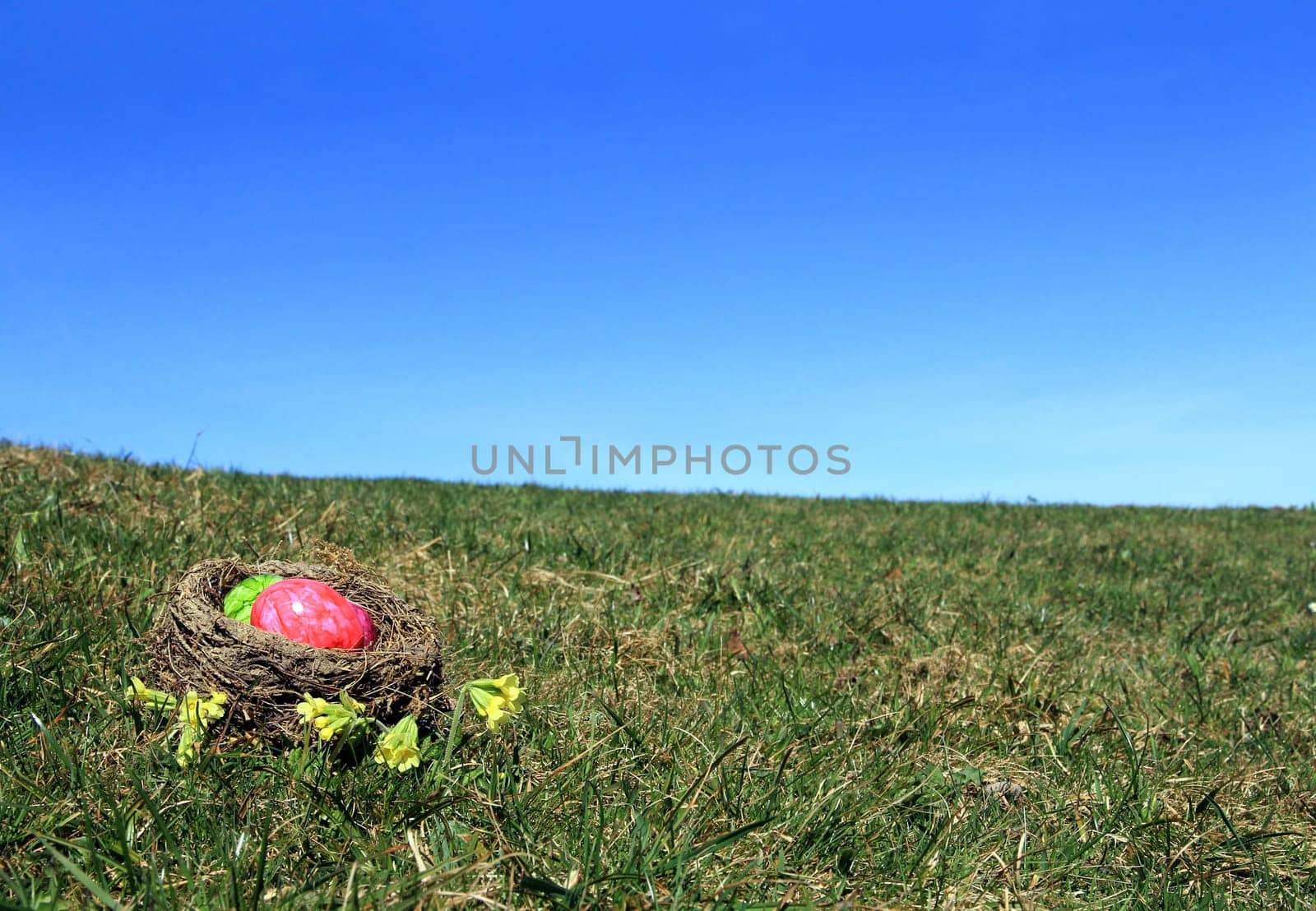The Easter Nest in the Meadow