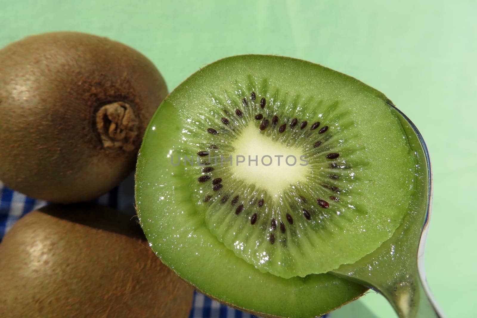 Kiwi - Actinidia deliciosa