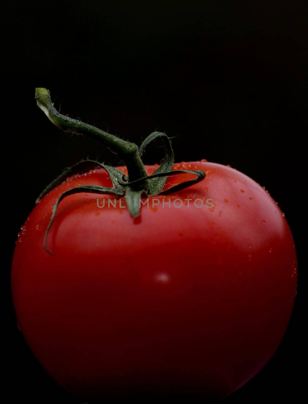 Tomato