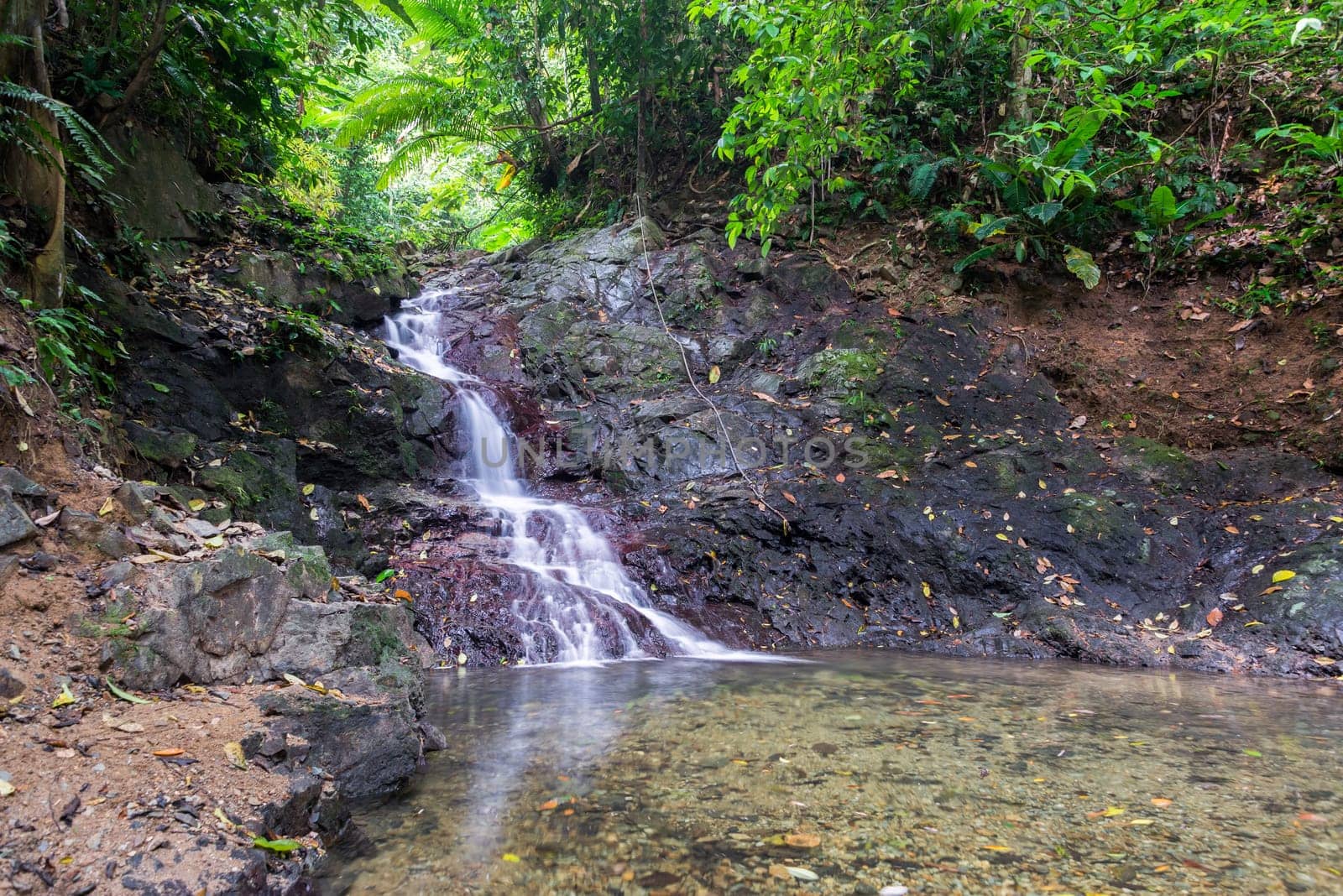 Small waterfall in a dense tropical rainforest near Capurgana, Colombia