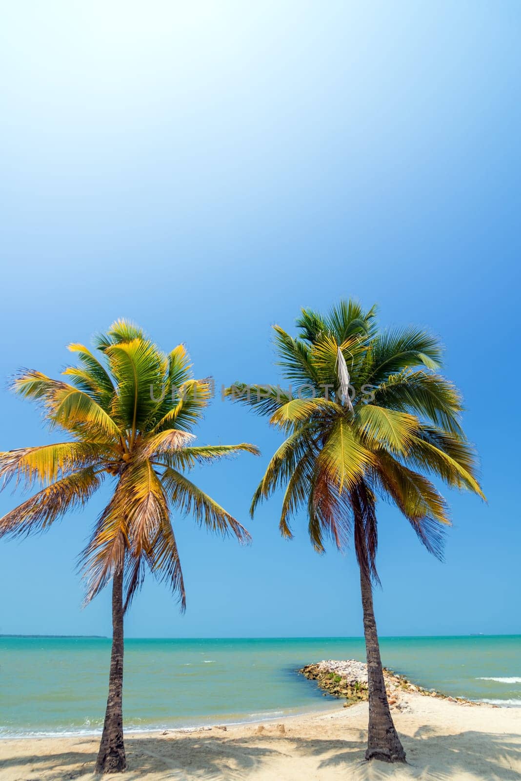 Two palm trees on a beautiful white Caribbean beach near Covenas, Colombia
