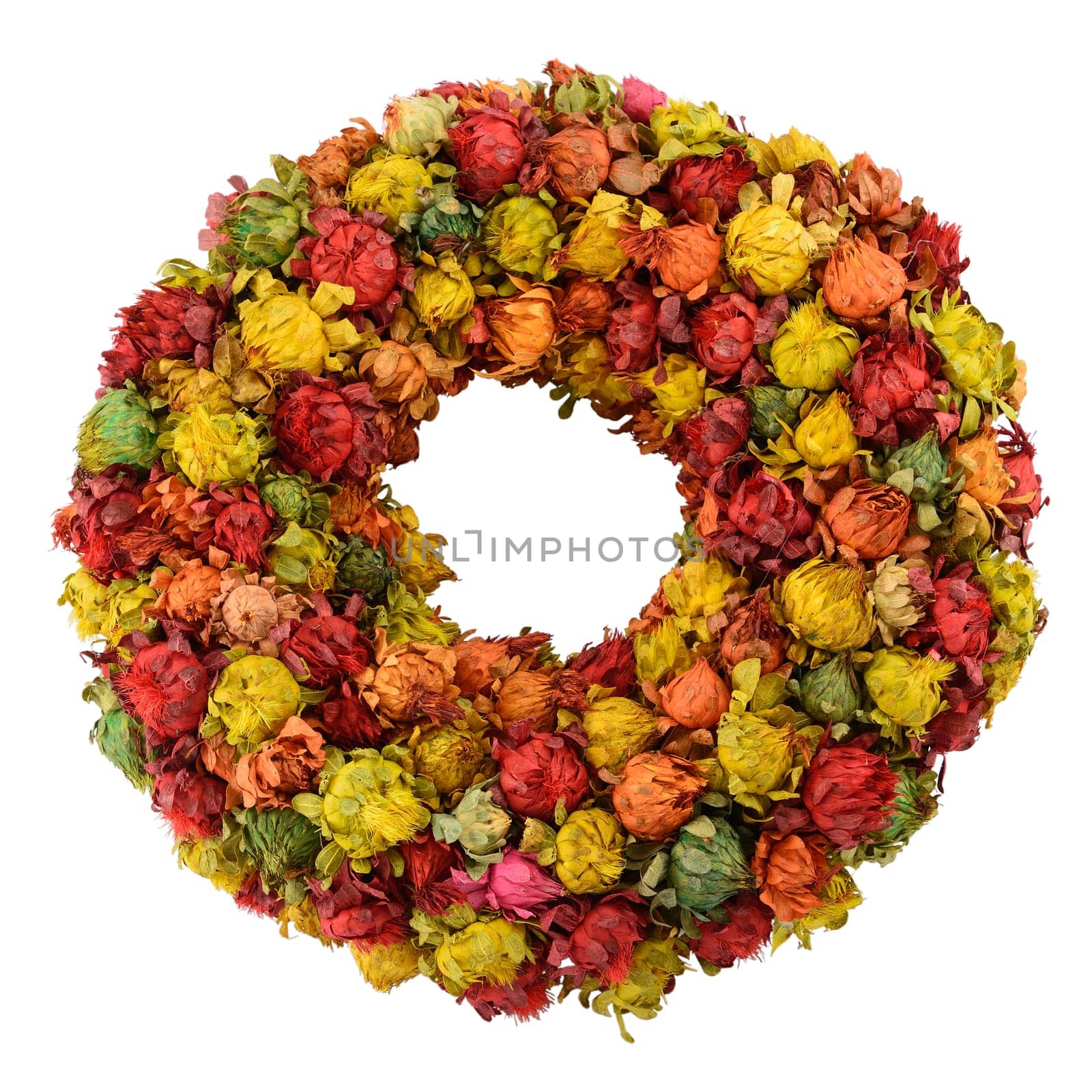 Colourful wreath made from dried saffron flowers isolated on white.