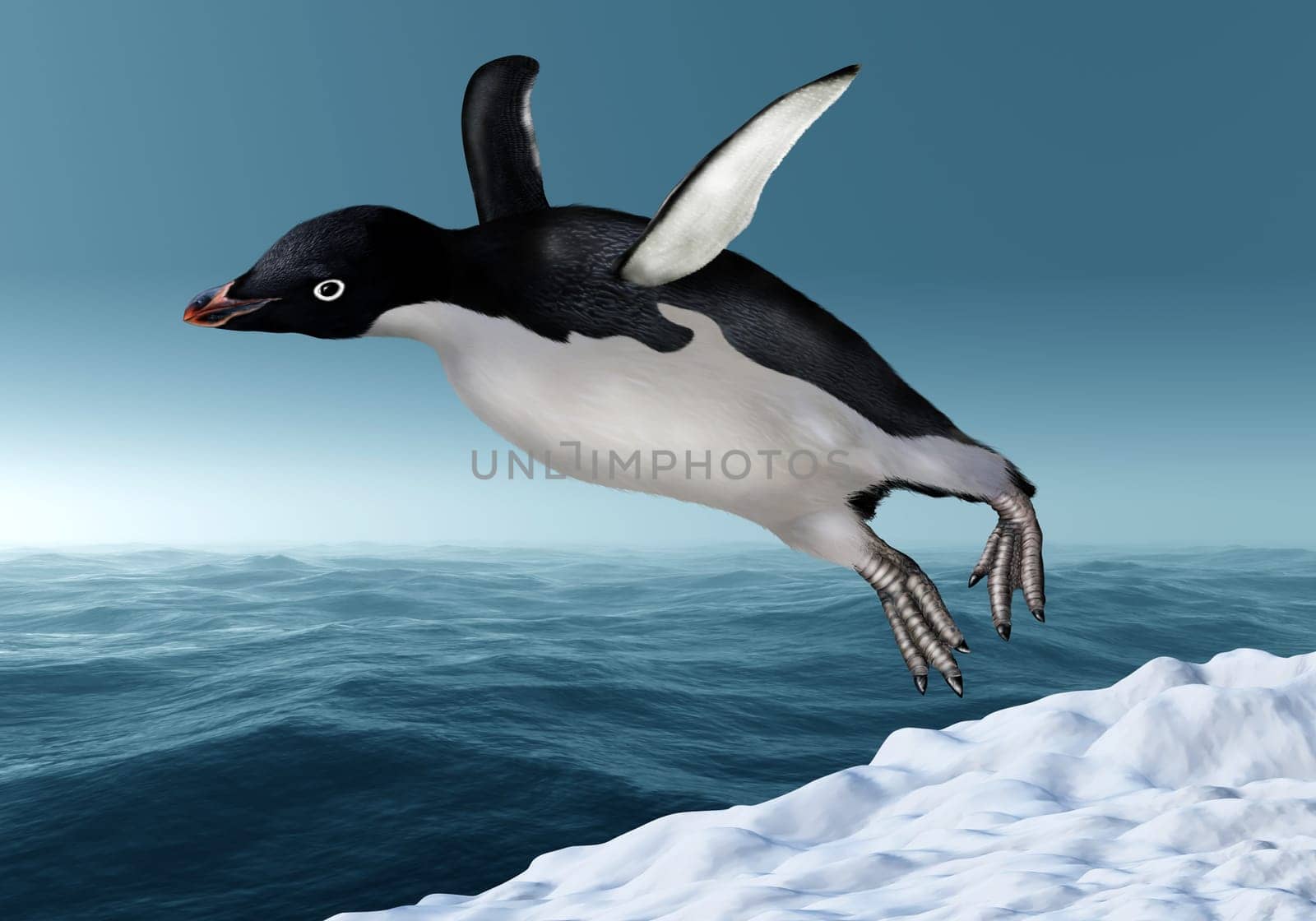 Adelie Penguin leaping from the snow towards an icy ocean
