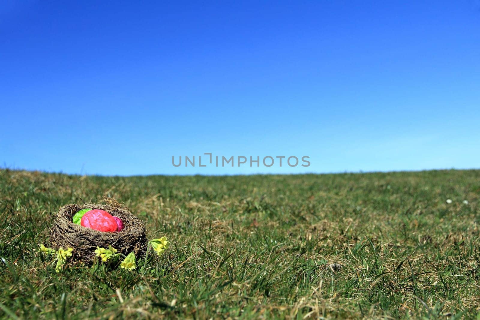 The Easter Nest in the Meadow
