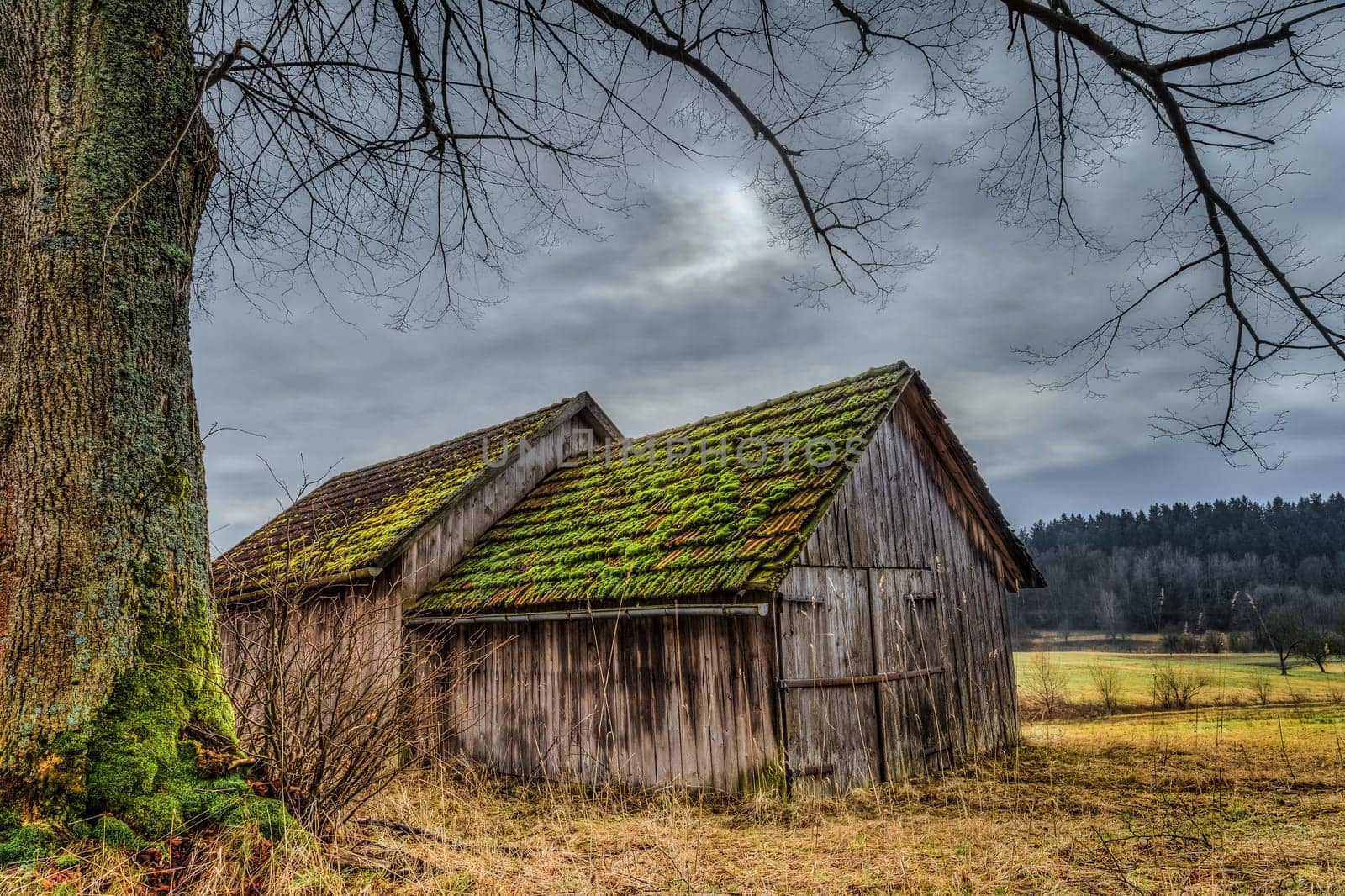 old wooden shed