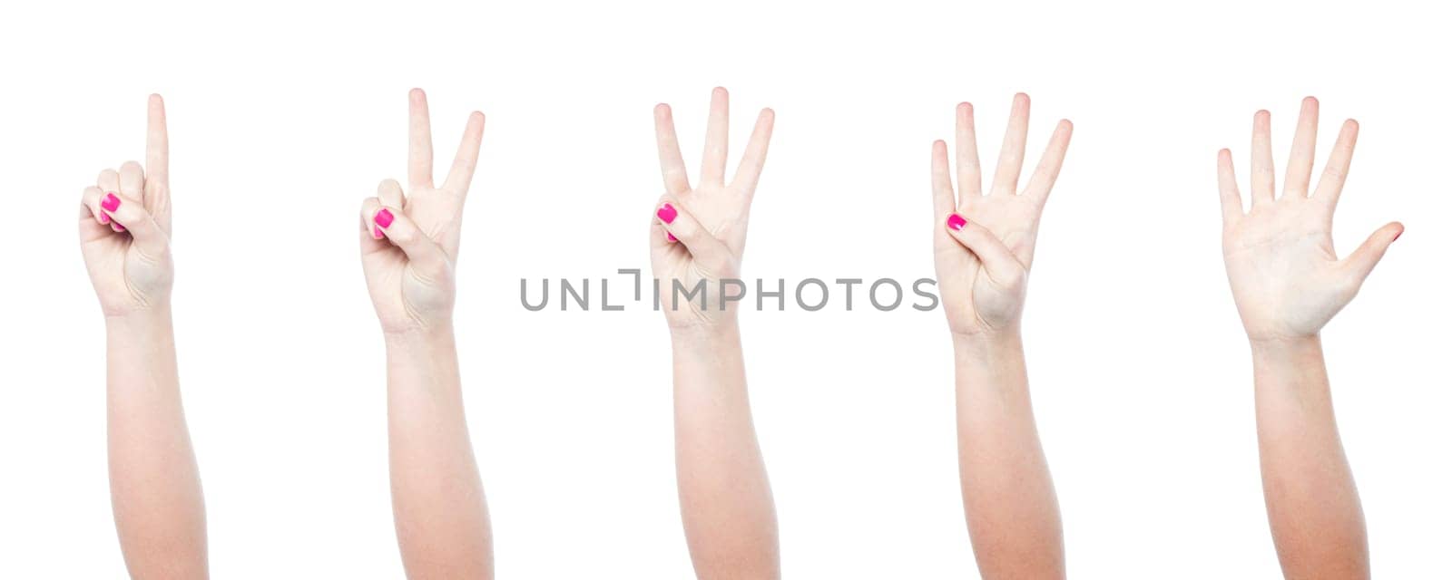 Hands showing numbers from one to five