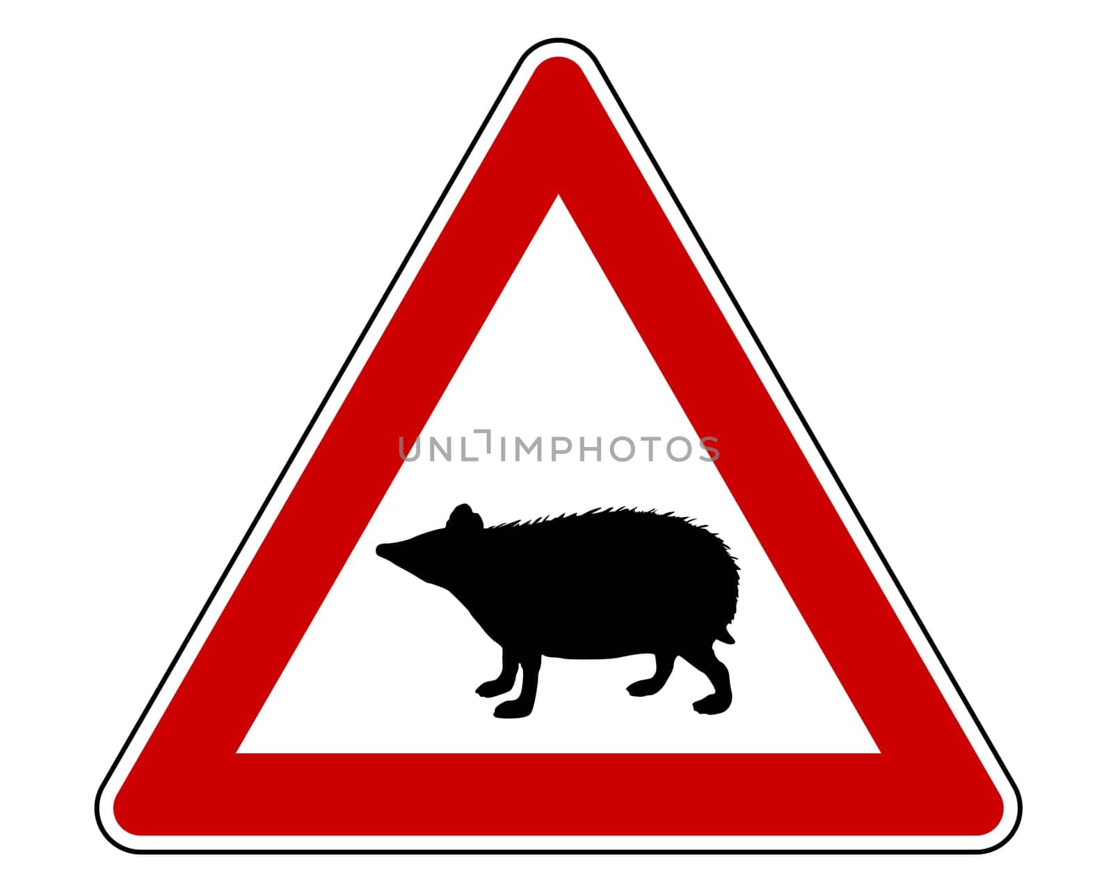 Attention Hedgehog