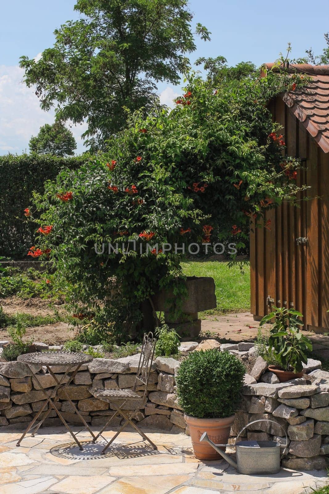 Seat in the garden with herb bed