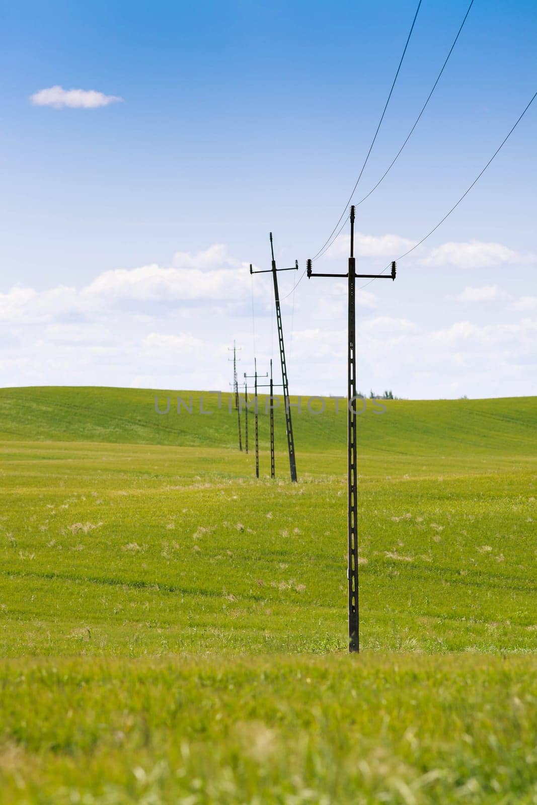 old power line and telephone poll,standing in row in green spring field,visible sky.