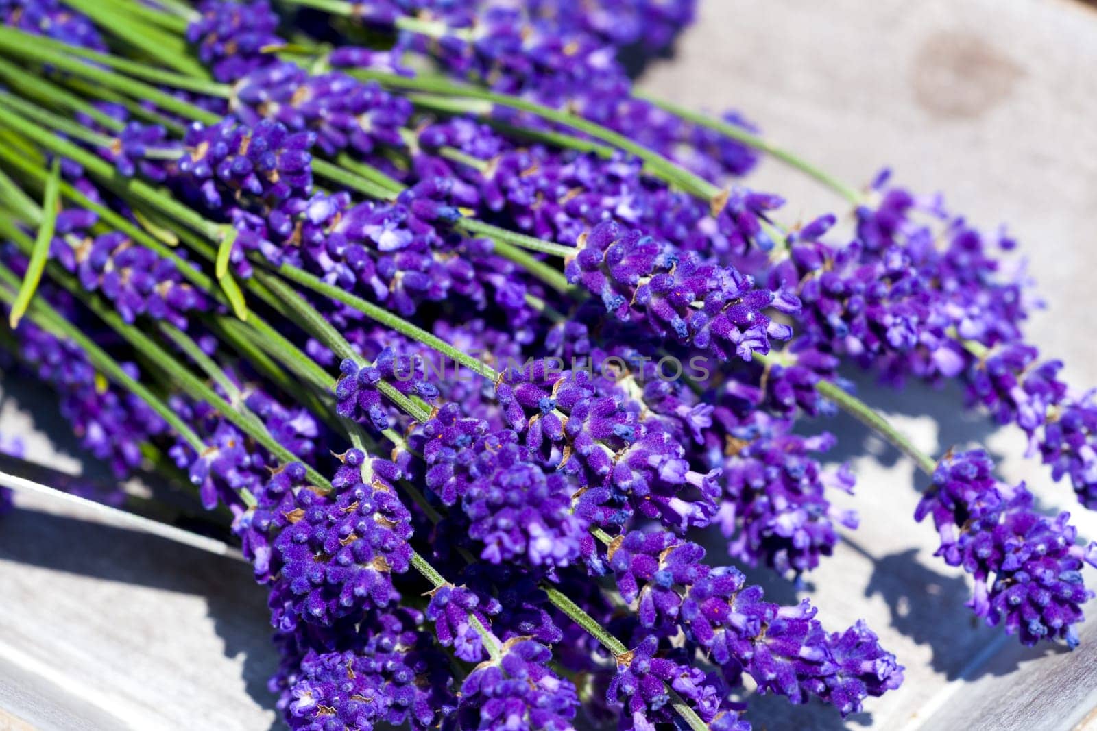 Bunch of lavender on a tray