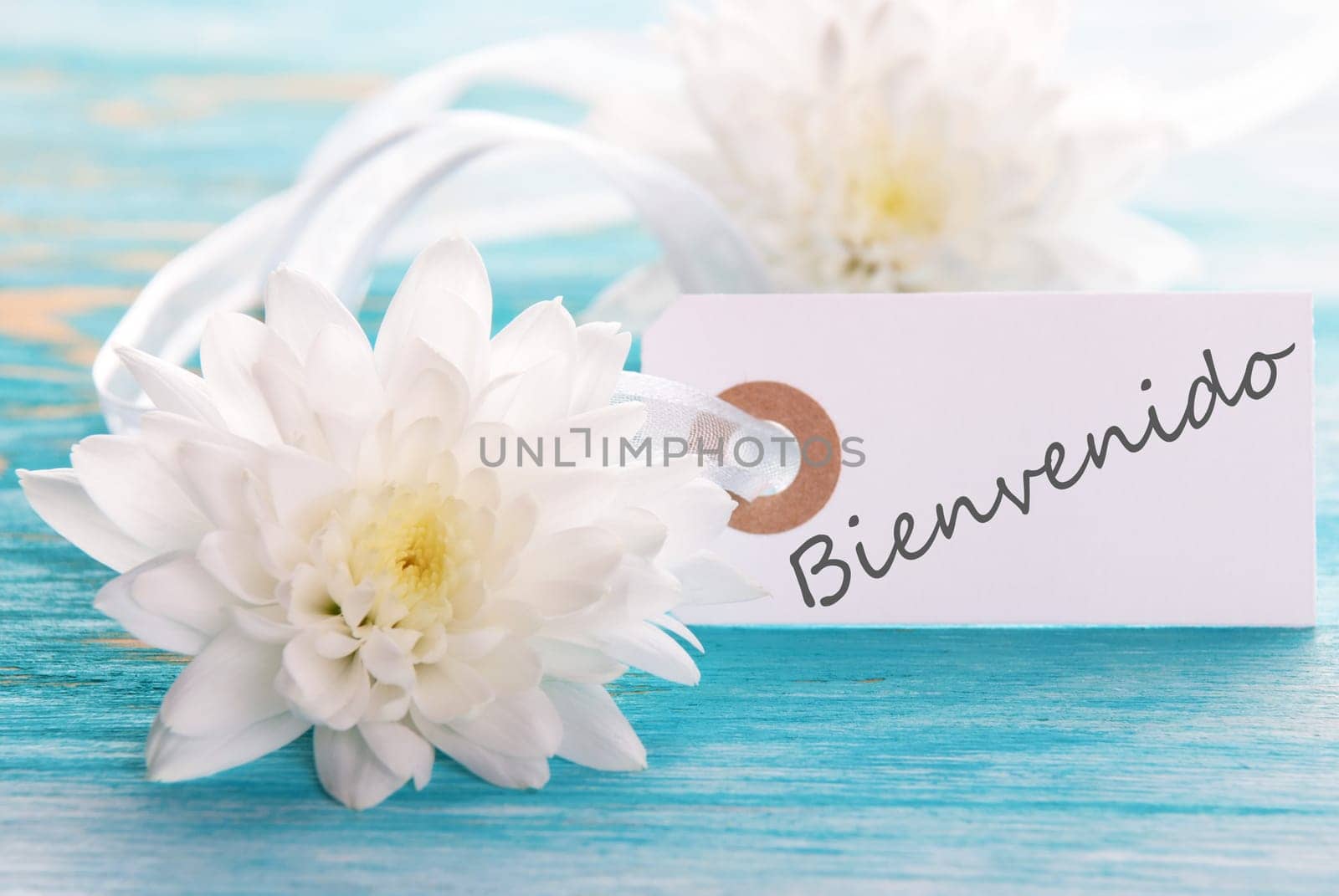 Banner with the Spanish Word Bienvenido which means Welcome