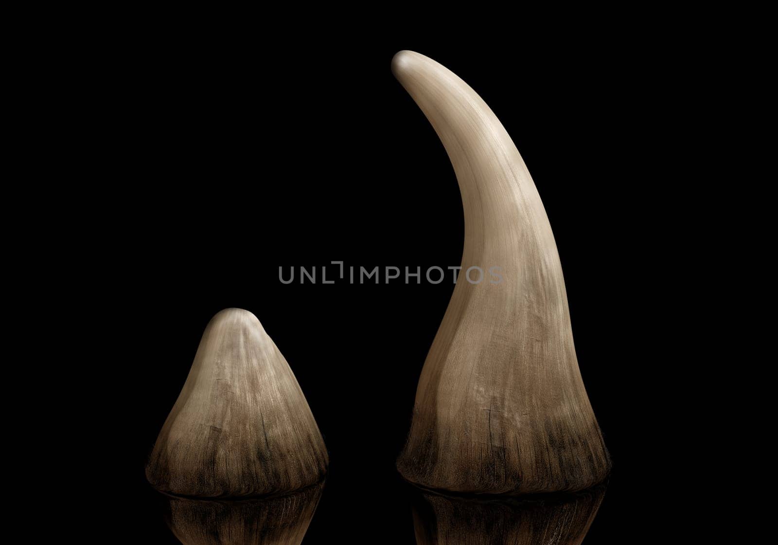 Rhinoceros horn sold on the black market for use in traditional Chinese medicine
