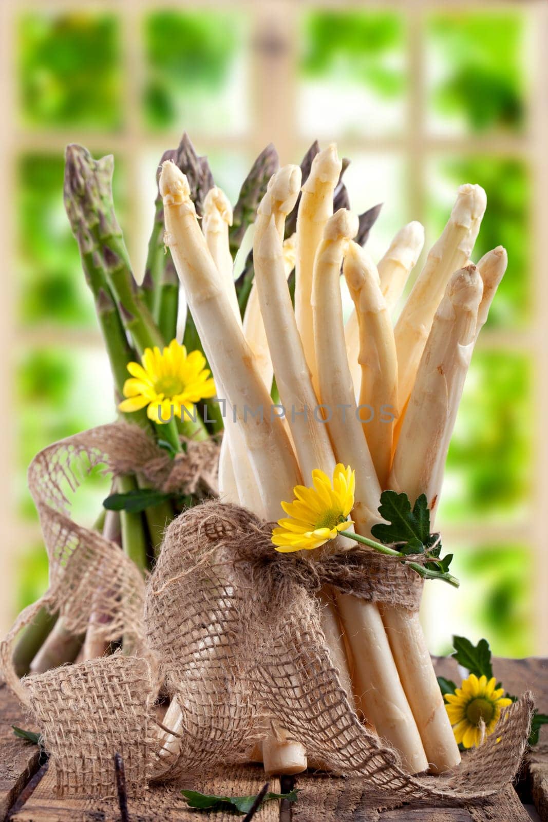 Asparagus freshly harvested