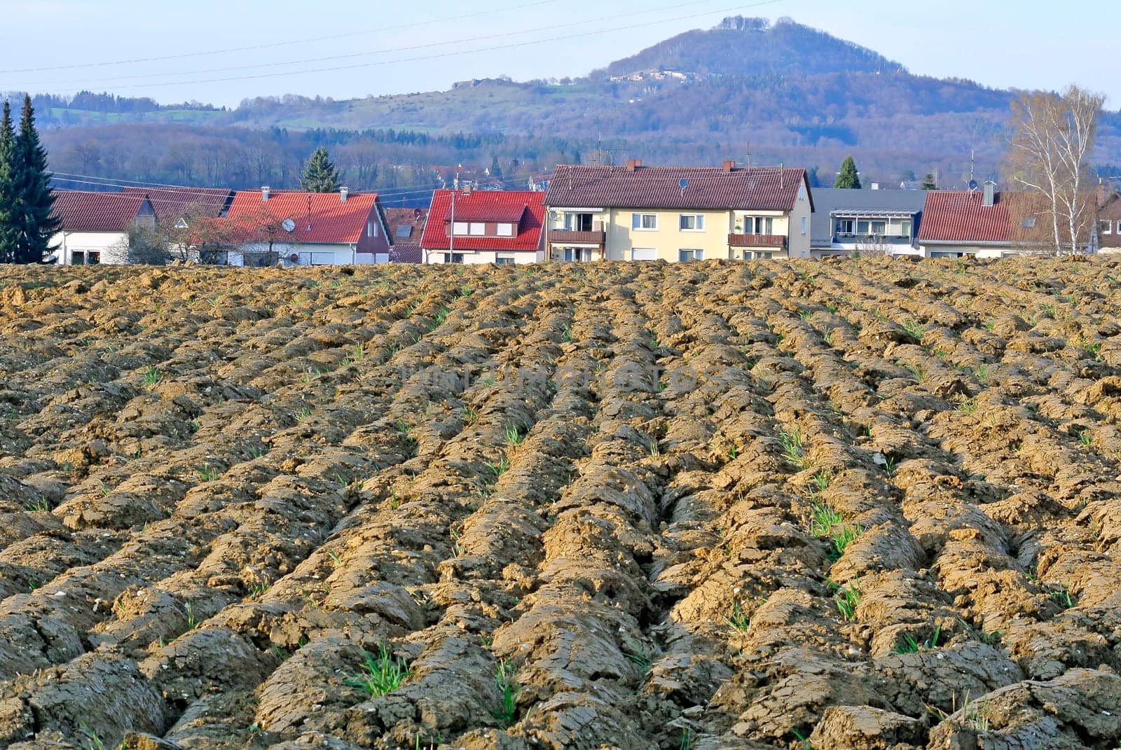 freshly ploughed field in spring