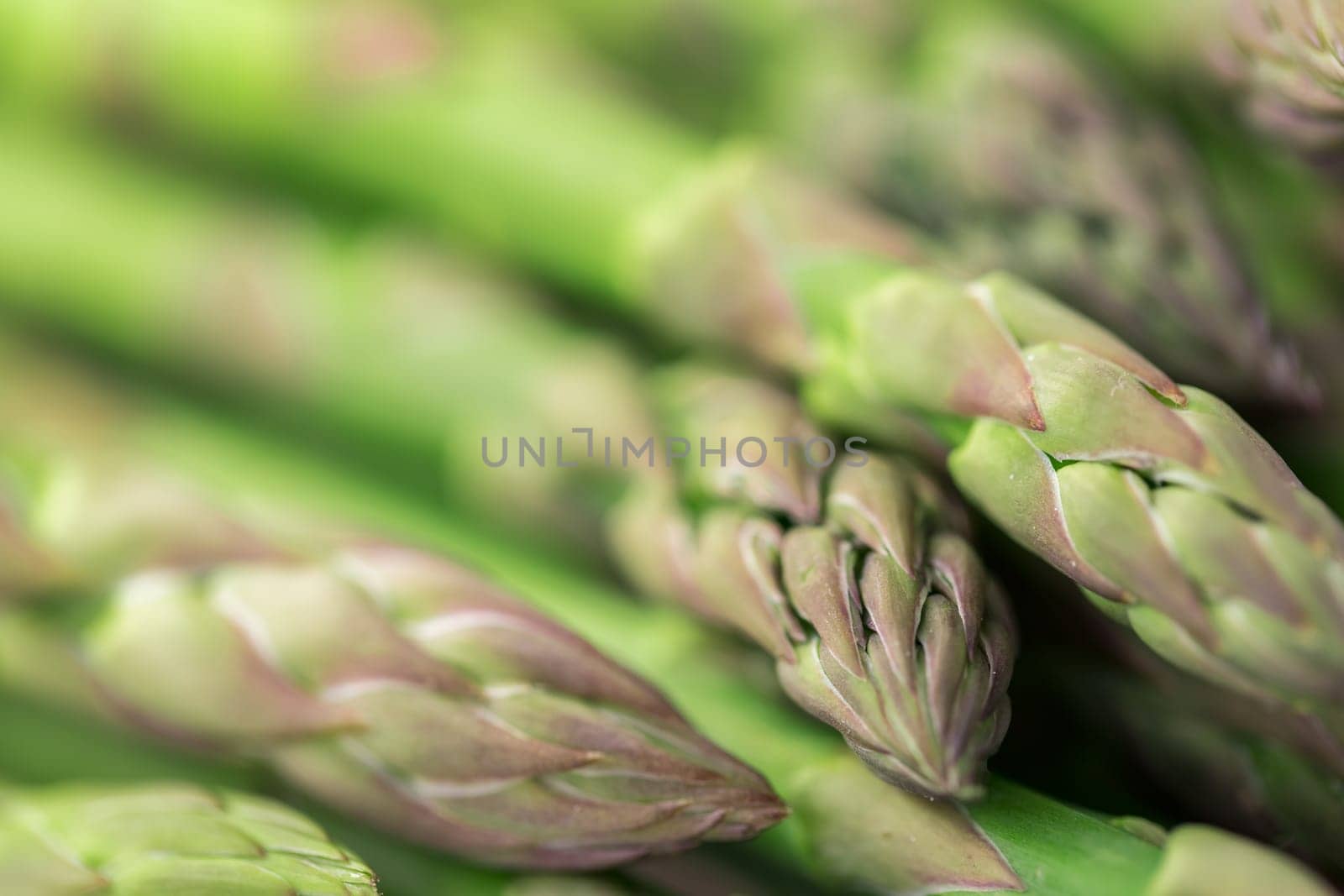 Asparagus background
