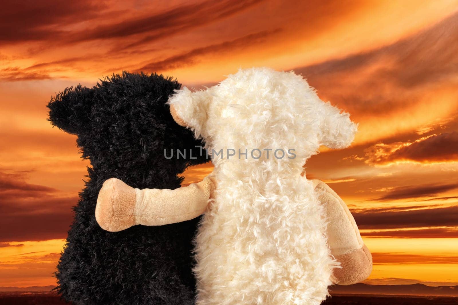 Two cute plush lambs watch a beautiful sunset